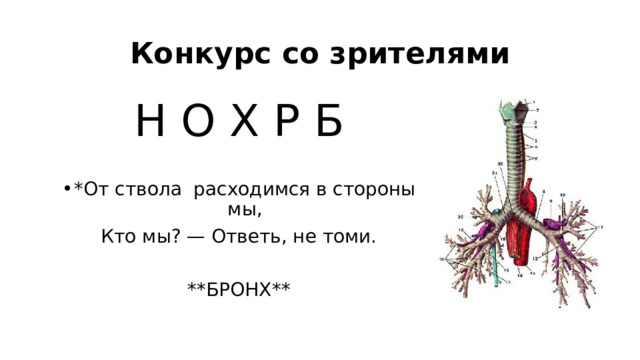 Конкурс со зрителями Н О Х Р Б *От ствола расходимся в стороны мы, Кто мы? — Ответь, не томи. **БРОНХ** 