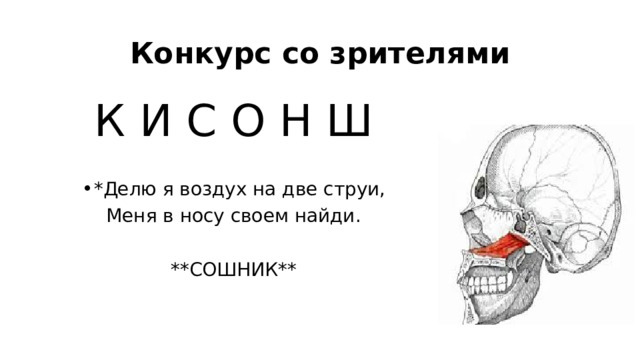 Конкурс со зрителями К И С О Н Ш *Делю я воздух на две струи, Меня в носу своем найди. **СОШНИК** 