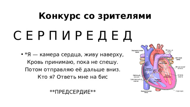 Конкурс со зрителями С Е Р П И Р Е Д Е Д *Я — камера сердца, живу наверху, Кровь принимаю, пока не спешу. Потом отправляю её дальше вниз. Кто я? Ответь мне на бис **ПРЕДСЕРДИЕ** 