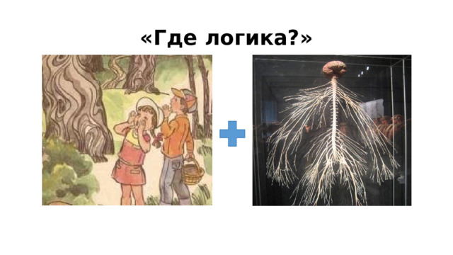 «Где логика?» 