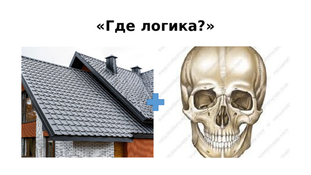 «Где логика?» 
