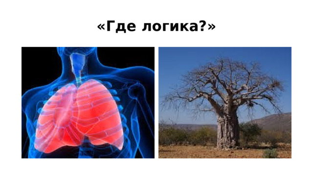 «Где логика?» 