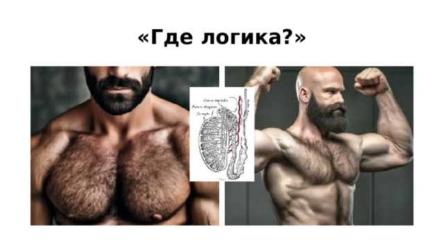 «Где логика?» 
