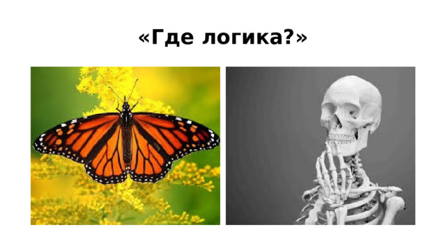 «Где логика?» 