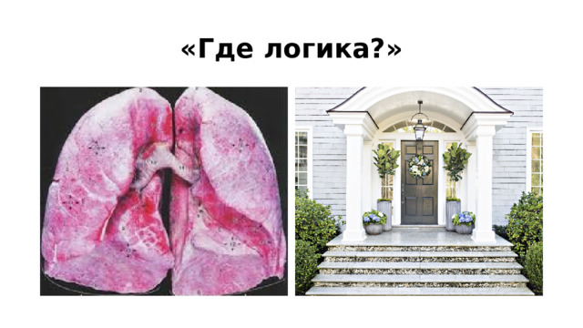 «Где логика?» 