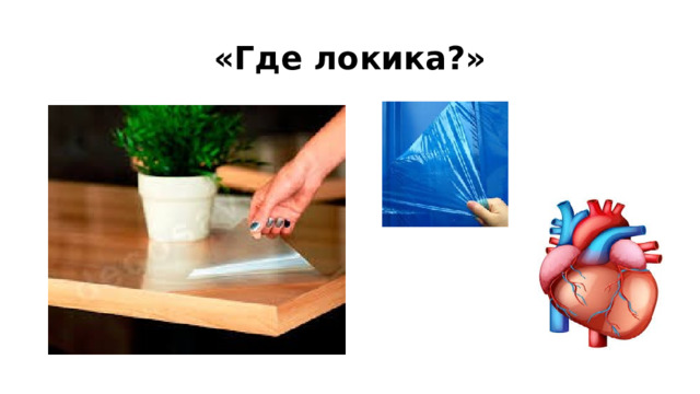 «Где локика?» 