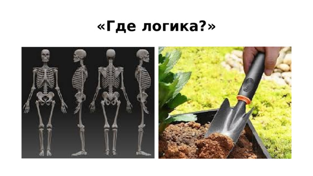 «Где логика?» 