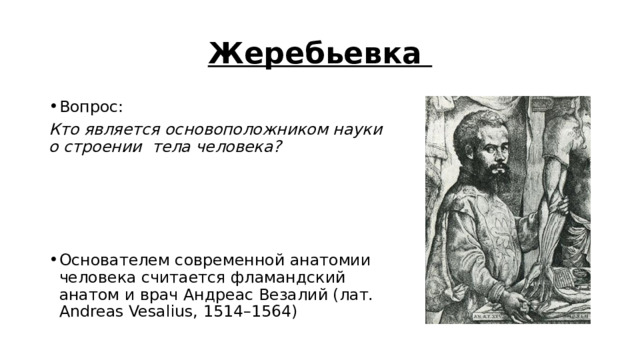 Жеребьевка Вопрос:  Кто является основоположником науки о строении тела человека? Основателем современной анатомии человека считается фламандский анатом и врач Андреас Везалий (лат. Andreas Vesalius, 1514–1564) 