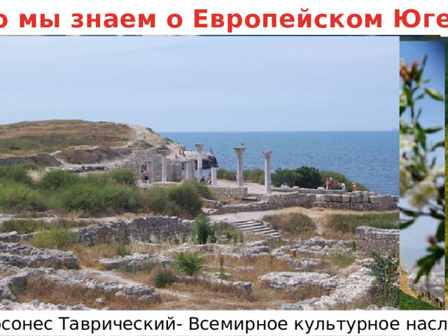 Что мы знаем о Европейском Юге Сочинский национальный пар к Крепость Дербент- Всемирное культурное наследие Кавказский заповедник –Всемирное природное наследие Никитский ботанический сад Новороссийск Ростов – на - Дону Кубачи Сочи Олимпийские объекты Ласточкино гнездо Эльбрус Херсонес Таврический- Всемирное культурное наследие 