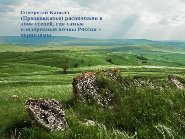 Природные зоны 