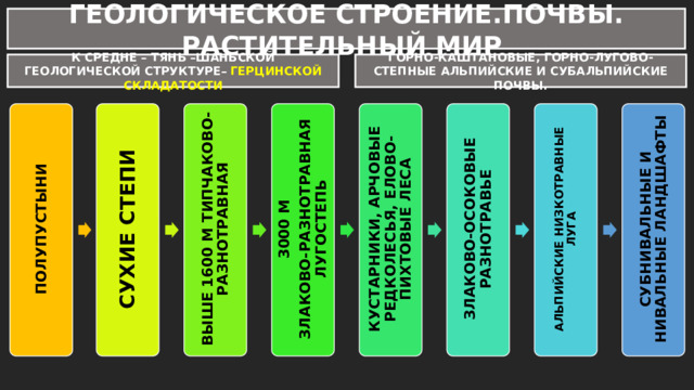 ГЕОЛОГИЧЕСКОЕ СТРОЕНИЕ.ПОЧВЫ. РАСТИТЕЛЬНЫЙ МИР К СРЕДНЕ – ТЯНЬ –ШАНЬСКОЙ ГЕОЛОГИЧЕСКОЙ СТРУКТУРЕ– ГЕРЦИНСКОЙ СКЛАДАТОСТИ ГОРНО-КАШТАНОВЫЕ, ГОРНО-ЛУГОВО-СТЕПНЫЕ АЛЬПИЙСКИЕ И СУБАЛЬПИЙСКИЕ ПОЧВЫ. АЛЬПИЙСКИЕ НИЗКОТРАВНЫЕ ЛУГА ЗЛАКОВО-ОСОКОВЫЕ РАЗНОТРАВЬЕ КУСТАРНИКИ, АРЧОВЫЕ РЕДКОЛЕСЬЯ, ЕЛОВО-ПИХТОВЫЕ ЛЕСА 3000 М ВЫШЕ 1600 М ТИПЧАКОВО- РАЗНОТРАВНАЯ СУХИЕ СТЕПИ ПОЛУПУСТЫНИ СУБНИВАЛЬНЫЕ И НИВАЛЬНЫЕ ЛАНДШАФТЫ ЗЛАКОВО-РАЗНОТРАВНАЯ ЛУГОСТЕПЬ 