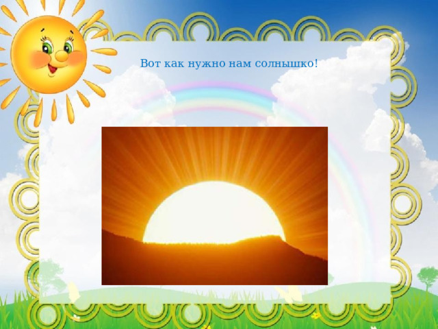 Вот как нужно нам солнышко! 