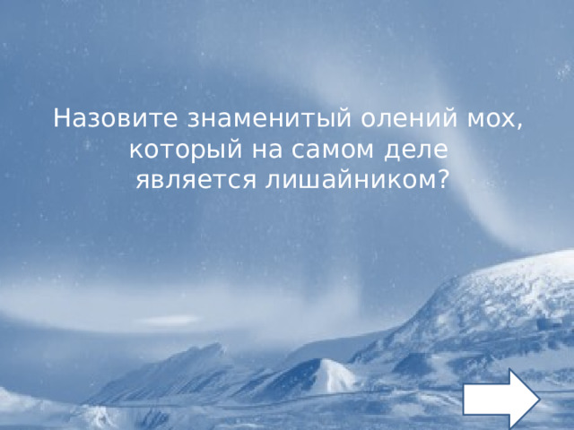 Назовите знаменитый олений мох, который на самом деле является лишайником? 