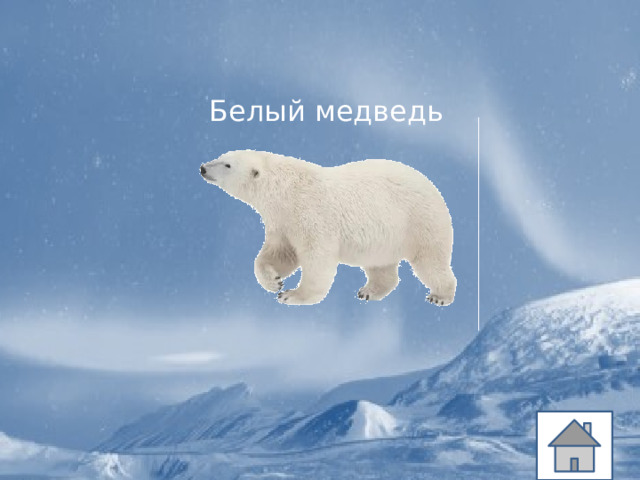 Белый медведь 