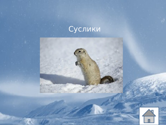 Суслики 