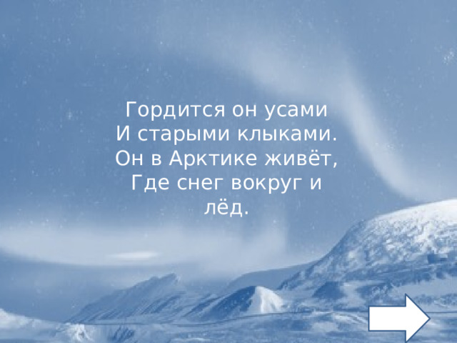 Гордится он усами И старыми клыками. Он в Арктике живёт, Где снег вокруг и лёд. 