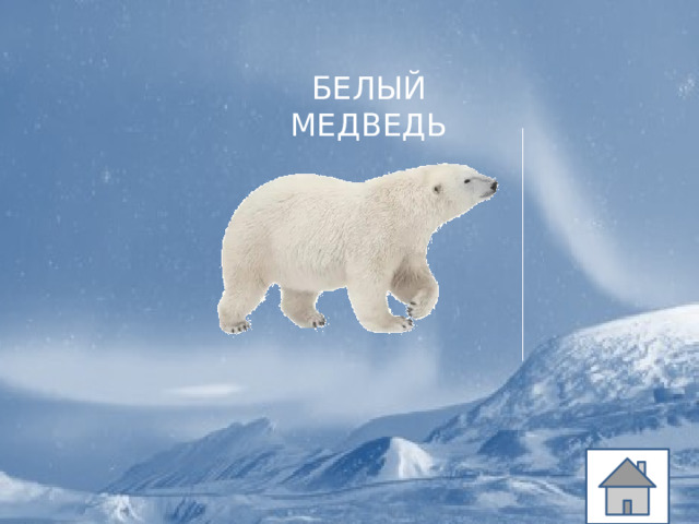 БЕЛЫЙ МЕДВЕДЬ 