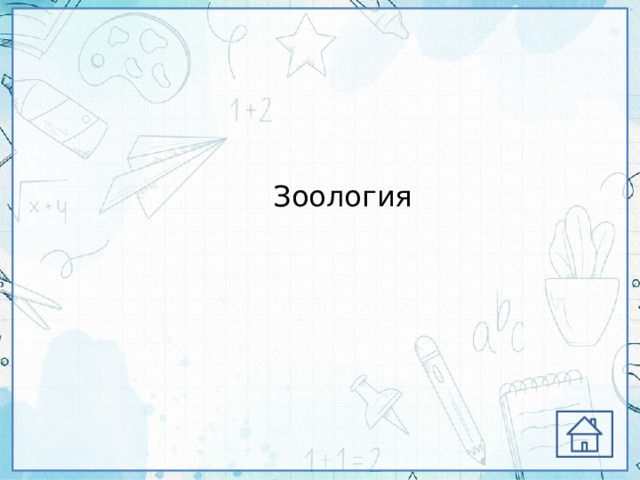 Зоология 
