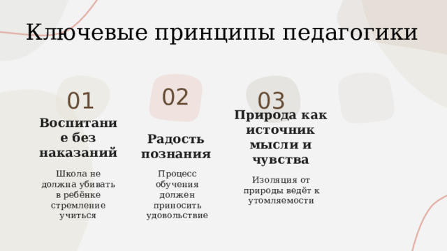  Ключевые принципы педагогики 02 01 03 Воспитание без наказаний Радость познания Природа как источник мысли и чувства Школа не должна убивать в ребёнке стремление учиться Процесс обучения должен приносить удовольствие Изоляция от природы ведёт к утомляемости 