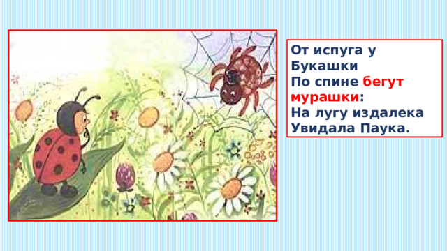 От испуга у Букашки  По спине бегут мурашки :  На лугу издалека  Увидала Паука. 