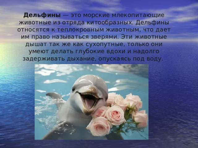 Дельфины — это морские млекопитающие животные из отряда китообразных. Дельфины относятся к теплокровным животным, что дает им право называться зверями. Эти животные дышат так же как сухопутные, только они умеют делать глубокие вдохи и надолго задерживать дыхание, опускаясь под воду. 