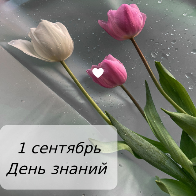 1 сентябрь День знаний 