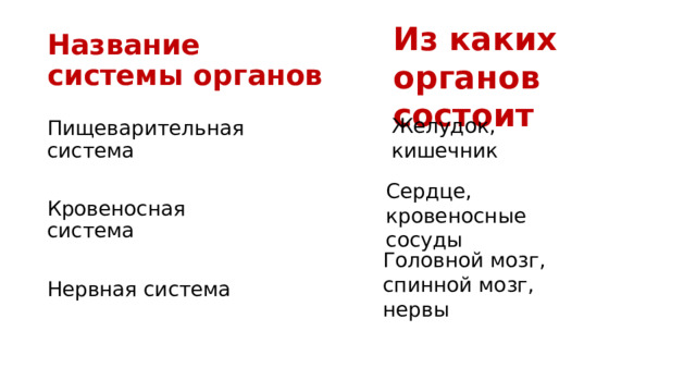 Из каких органов состоит Название системы органов Желудок, кишечник Пищеварительная система Кровеносная система Нервная система Сердце, кровеносные сосуды Головной мозг, спинной мозг, нервы 