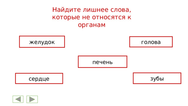 Найдите лишнее слова, которые не относятся к органам желудок голова печень зубы сердце 