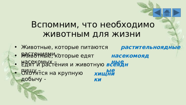 Вспомним, что необходимо животным для жизни Животные, которые питаются растениями – растительноядные Животные, которые едят насекомых – насекомоядные Едят и растения и животную пищу – всеядные  Охотятся на крупную добычу - хищники 