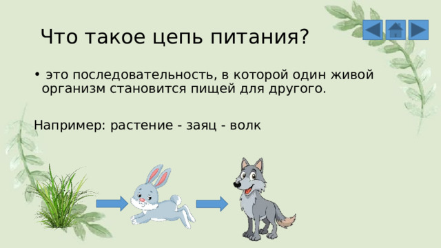  Что такое цепь питания?  это последовательность, в которой один живой организм становится пищей для другого. Например: растение - заяц - волк 