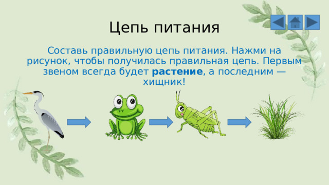 Цепь питания Составь правильную цепь питания. Нажми на рисунок, чтобы получилась правильная цепь. Первым звеном всегда будет  растение , а последним — хищник! 