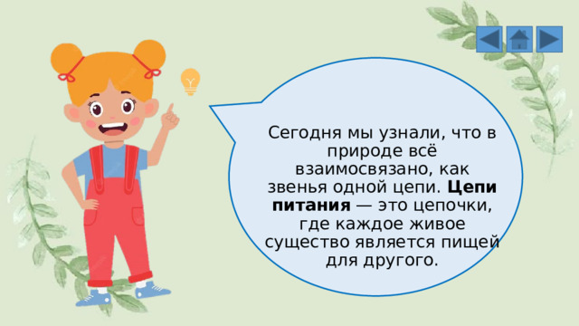 Сегодня мы узнали, что в природе всё взаимосвязано, как звенья одной цепи.  Цепи питания  — это цепочки, где каждое живое существо является пищей для другого. 