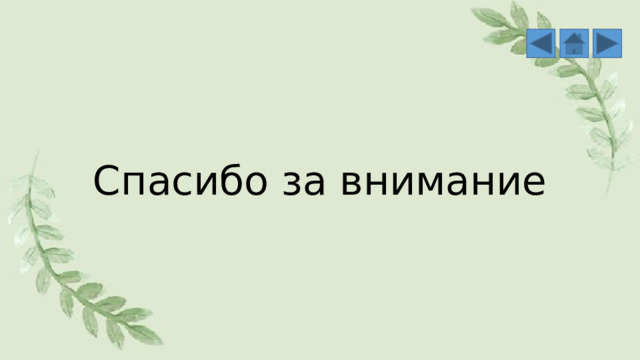 Спасибо за внимание 