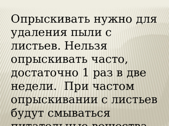 Опрыскивать нужно для удаления пыли с листьев. Нельзя опрыскивать часто, достаточно 1 раз в две недели. При частом опрыскивании с листьев будут смываться питательные вещества. 