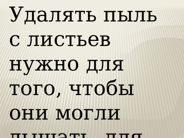 Удалять пыль с листьев нужно для того, чтобы они могли дышать, для красоты . 