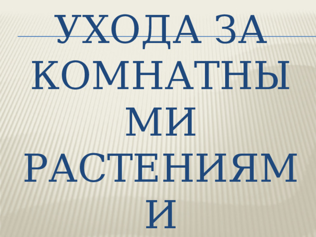 Приёмы ухода за комнатными растениями 