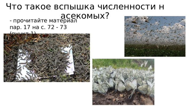 Что такое вспышка численности насекомых? - прочитайте материал пар. 17 на с. 72 - 73 (пункт 1). 