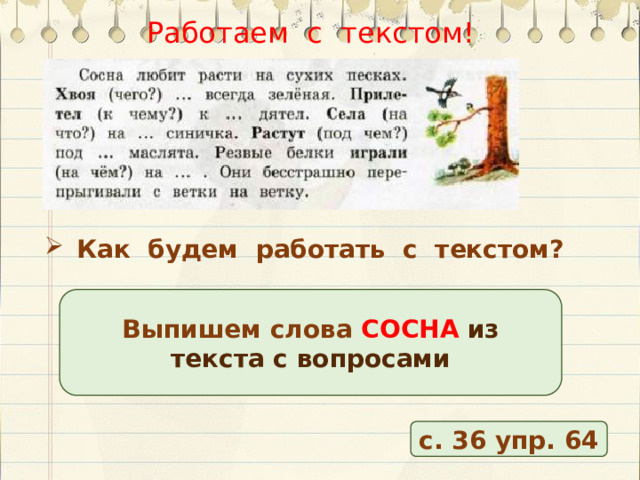 Работаем с текстом!   Как будем работать с текстом? Выпишем слова СОСНА из текста с вопросами с. 36 упр. 64 