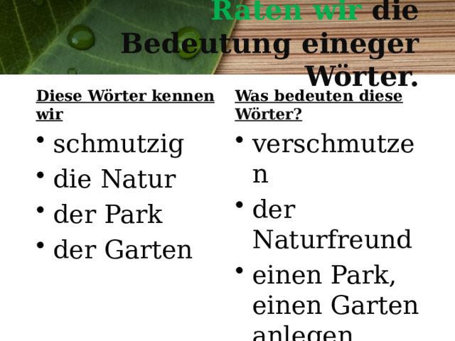 Raten wir die Bedeutung eineger Wörter. Diese Wörter kennen wir     Was bedeuten diese Wörter? schmutzig die Natur der Park der Garten verschmutzen der Naturfreund einen Park, einen Garten anlegen 