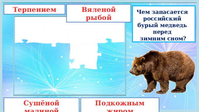 Терпением Вяленой рыбой Чем запасается российский бурый медведь перед   зимним сном? Сушёной малиной Подкожным жиром 