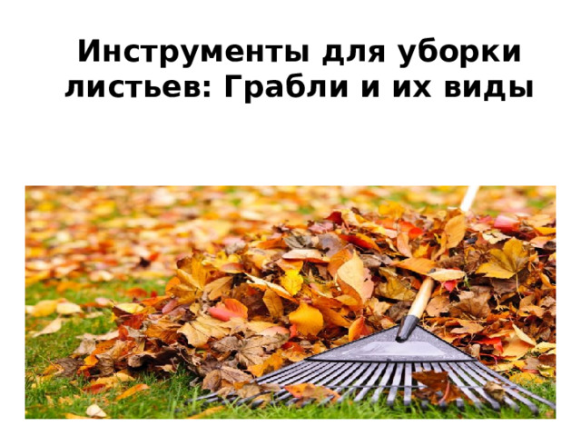Инструменты для уборки листьев: Грабли и их виды 