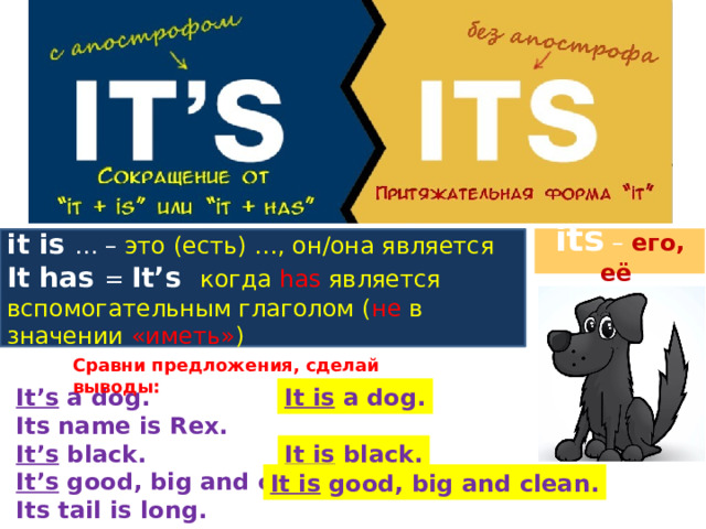 its – его, её it is … – это (есть) …, он/она является It has = It’s когда has является вспомогательным глаголом ( не в значении «иметь» ) Сравни предложения, сделай выводы: It’s a dog. It is a dog. Its name is Rex. It’s black. It’s good, big and clean. Its tail is long. It is black. It is good, big and clean. 