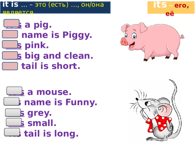 its – его, её it is … – это (есть) …, он/она является It’s a pig. Its name is Piggy. It’s pink. It’s big and clean. Its tail is short. It’s a mouse. Its name is Funny. It’s grey. It’s small. Its tail is long. 