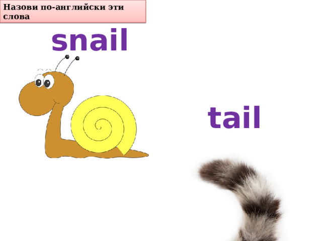 Назови по-английски эти слова snail tail 