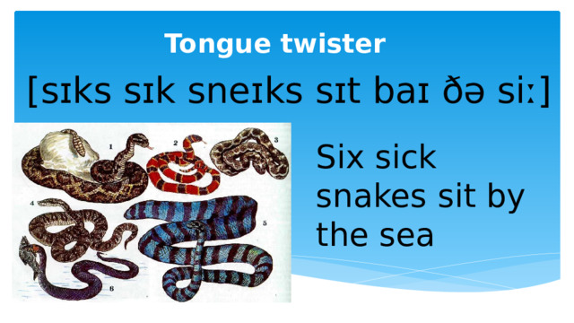 Tongue twister  [sɪks sɪk sneɪks sɪt baɪ ðə siː] Six sick snakes sit by the sea 