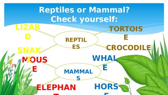 Reptiles or Mammal? Check yourself: Lizard Tortoise Reptiles Crocodile Snake Whale Mouse Mammals HORSe Elephant 