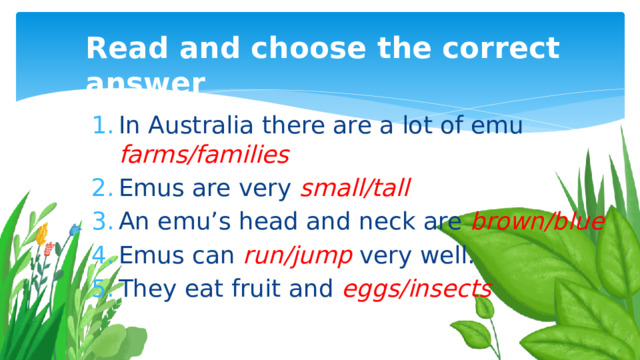 Read and choose the correct answer In Australia there are a lot of emu farms/families Emus are very small/tall An emu’s head and neck are brown/blue Emus can run/jump  very well. They eat fruit and eggs/insects  