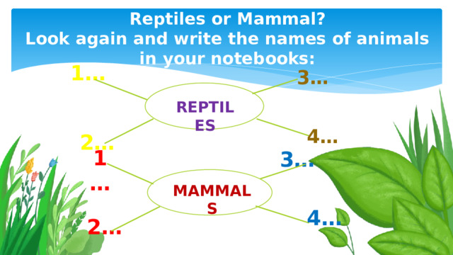 Reptiles or Mammal? Look again and write the names of animals in your notebooks: 1… 3… Reptiles 4… 2… 1… 3… Mammals 4… 2… 