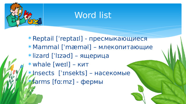 Word list Reptail [ˈreptaɪl] - пресмыкающиеся Mammal [ˈmæməl] – млекопитающие lizard [ˈlɪzəd] – ящерица whale [weɪl] – кит Insects [ˈɪnsekts] – насекомые farms [fɑːmz] - фермы 