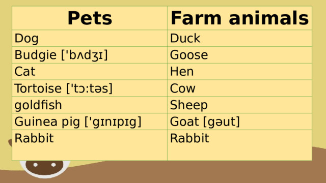 Pets Farm animals Dog Duck Budgie ['bʌdʒɪ] Goose Cat Tortoise ['tɔ:təs] Hen Cow goldfish Sheep Guinea pig ['gɪnɪpɪg] Goat [gəut]  Rabbit Rabbit 